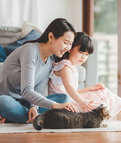 TENANT'S GUIDE TO WINDOW GUARD SAFETY